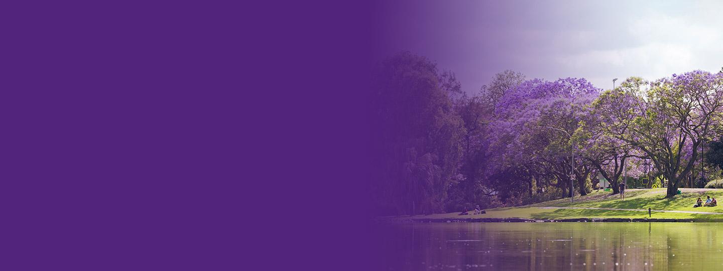 Banner only
